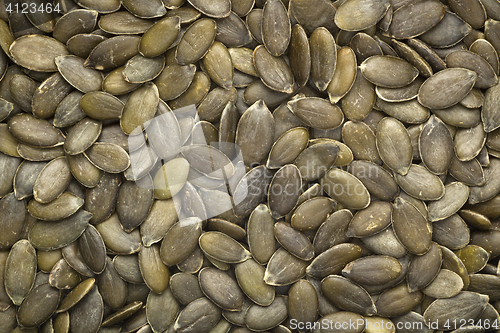 Image of Pumpkin seeds