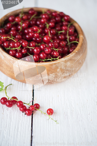 Image of Fresh red currants