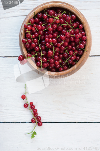 Image of Fresh red currants