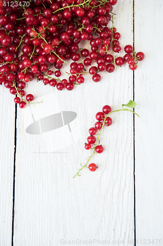 Image of Fresh red currants