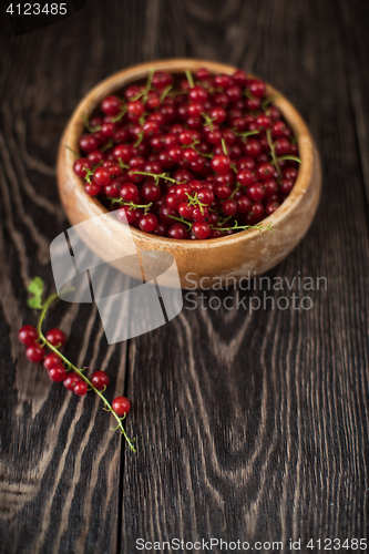 Image of Fresh red currants