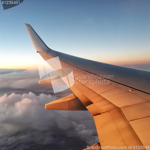 Image of Wing of airplane