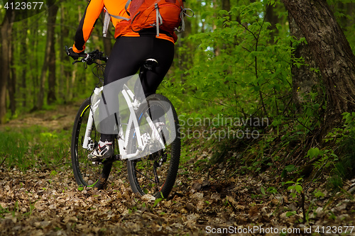 Image of Cyclist Riding the Bike on a Trail in Summer Forest