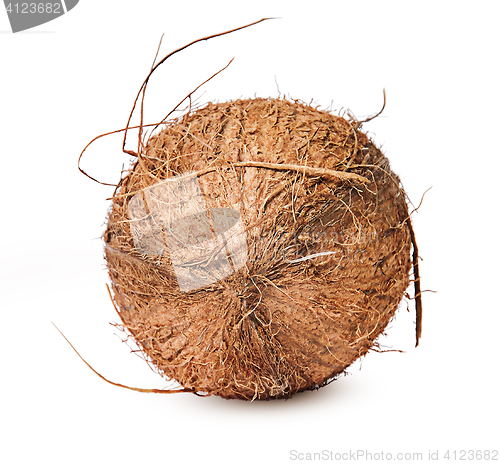 Image of Coconut lying on the side of top