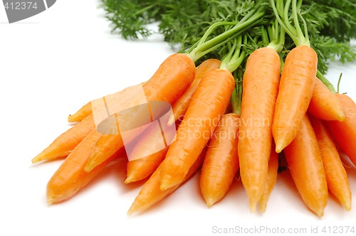 Image of Carrots