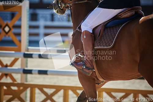 Image of The Equestrian Sports