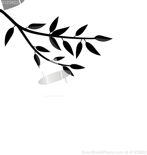 Image of  Black Silhouette Branch Tree with Leafs