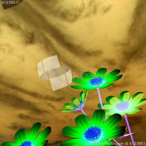 Image of Beautiful Cosmos Flower against the sky. 3D illustration.