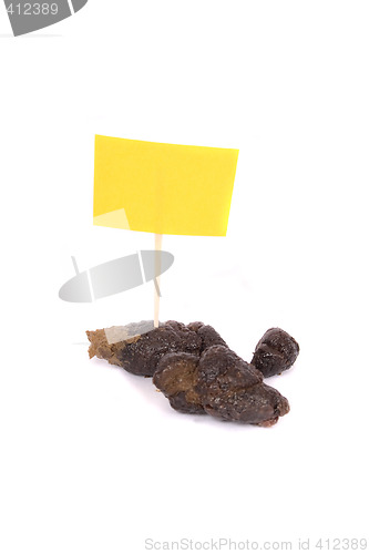 Image of small poo