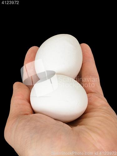 Image of Closeup of a male hand, with a pair of white chicken eggs, isola