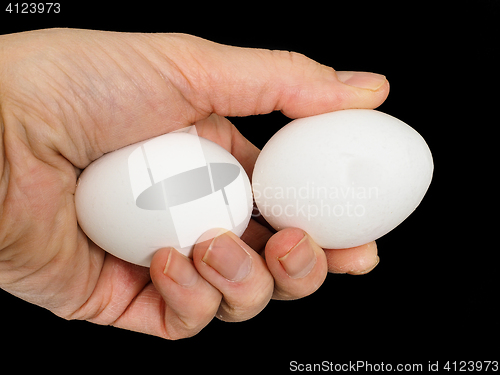 Image of Closeup of a male hand, with a pair of white chicken eggs, isola