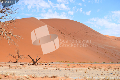 Image of sand dunes