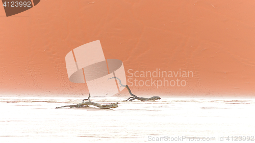 Image of Sossusvlei, Namibia