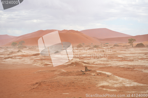 Image of desert landscape