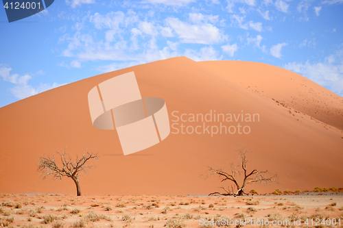 Image of sand dune