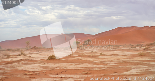 Image of sand dunes