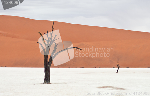 Image of Sossusvlei, Namibia