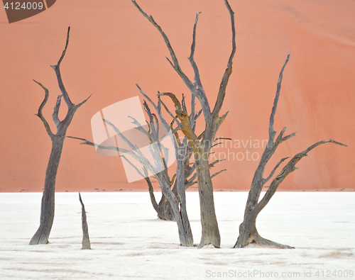 Image of Sossusvlei, Namibia