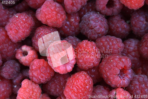 Image of raspberry background