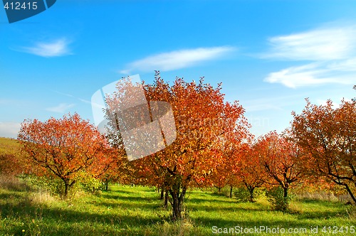 Image of Autumn landscape