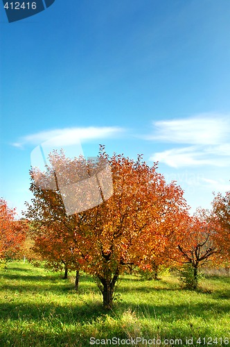 Image of Autumn landscape