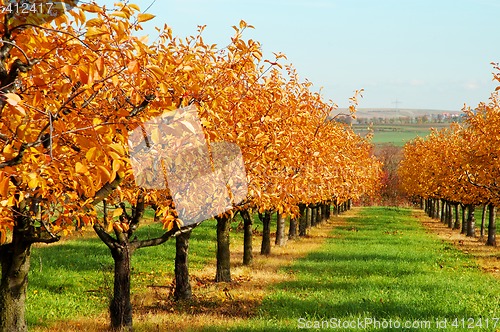 Image of Autumn landscape