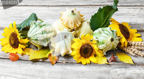 Image of Autumn harvest vegetables