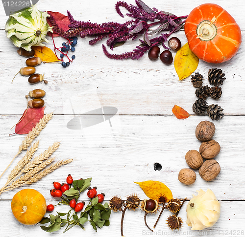 Image of Autumn still life harvest