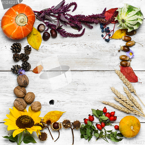 Image of Autumn still life harvest