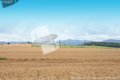 Image of czech country