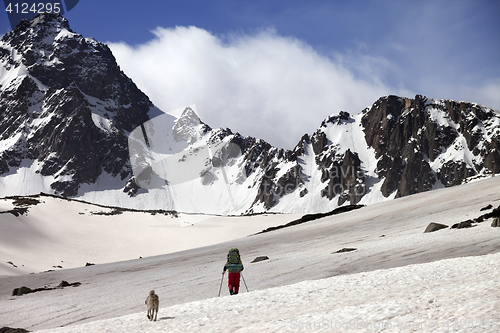 Image of Hiker with dog at spring snow mountains