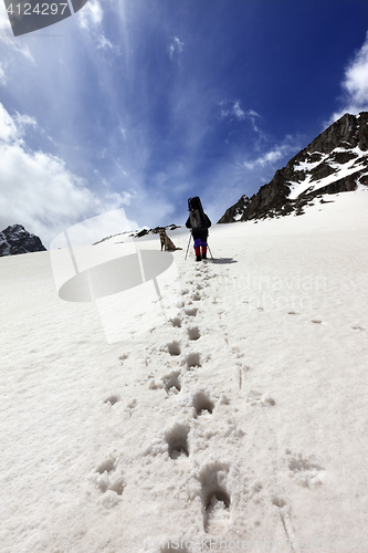 Image of Dog and hikers in snow mountain at sun day