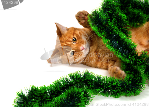 Image of Red-headed kitten lying on its side in Christmas ornaments