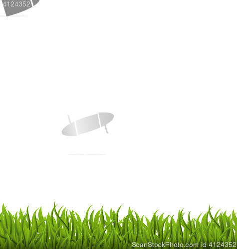 Image of Spring background with green grass, space for your text