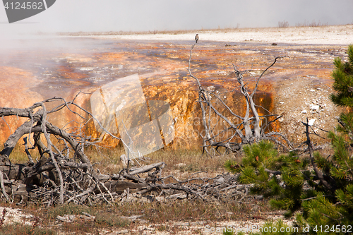 Image of Yellowstone National Park, Utah, USA