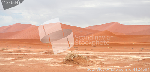 Image of desert landscape