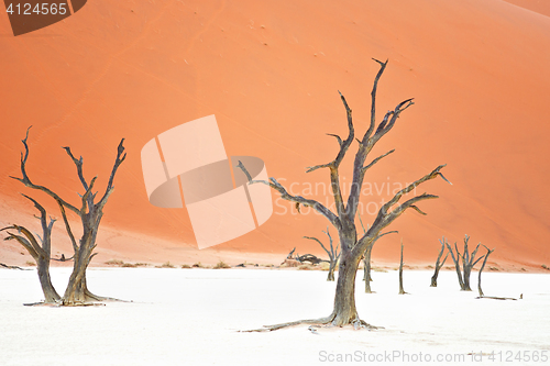 Image of Sossusvlei, Namibia