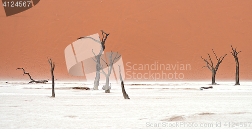 Image of Sossusvlei, Namibia