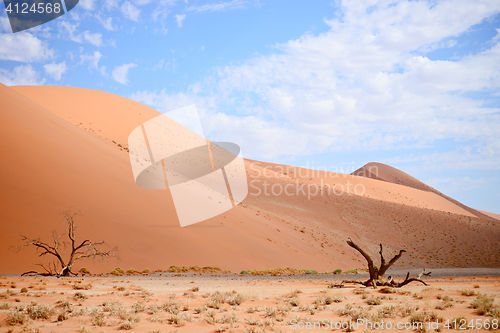Image of sand dunes