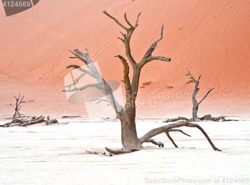 Image of Sossusvlei, Namibia