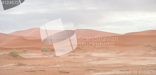 Image of desert landscape