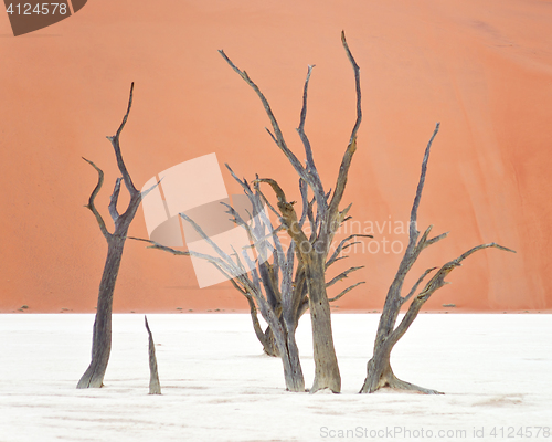 Image of Sossusvlei, Namibia