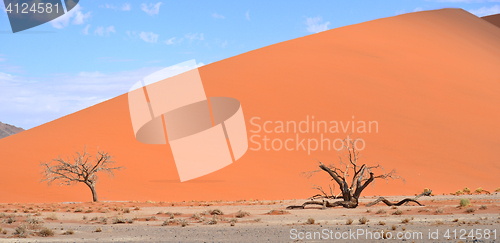 Image of sand dunes