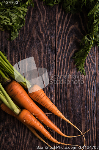 Image of Freshly grown carrots