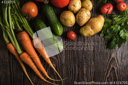 Image of freshly grown raw vegetables