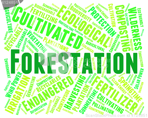 Image of Forestation Word Means Park Woodland And Trees