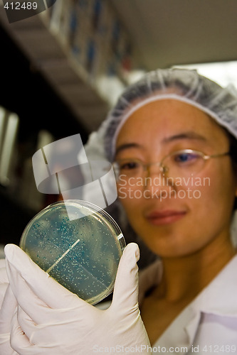 Image of Female scientist picking colonies