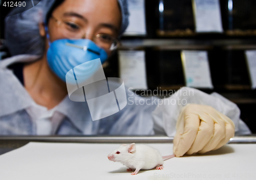 Image of Scientist with white mouse