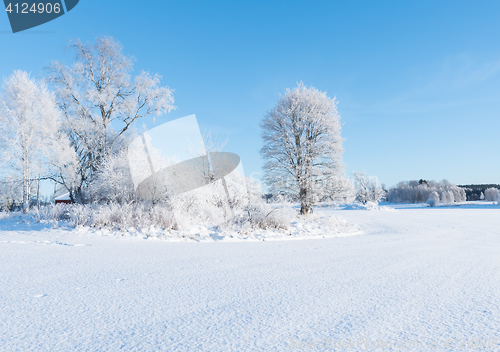 Image of Wintry landscape