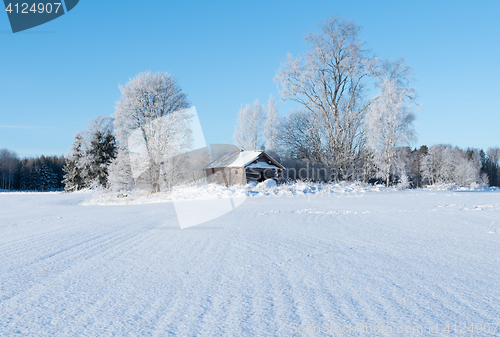 Image of Wintry landscape